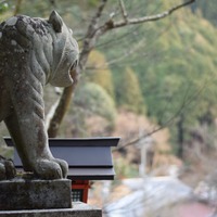 山颪ヒア